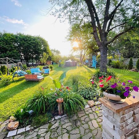 Schaumburg Paradise Oasis With A Secret Garden And Private Pool Ngoại thất bức ảnh