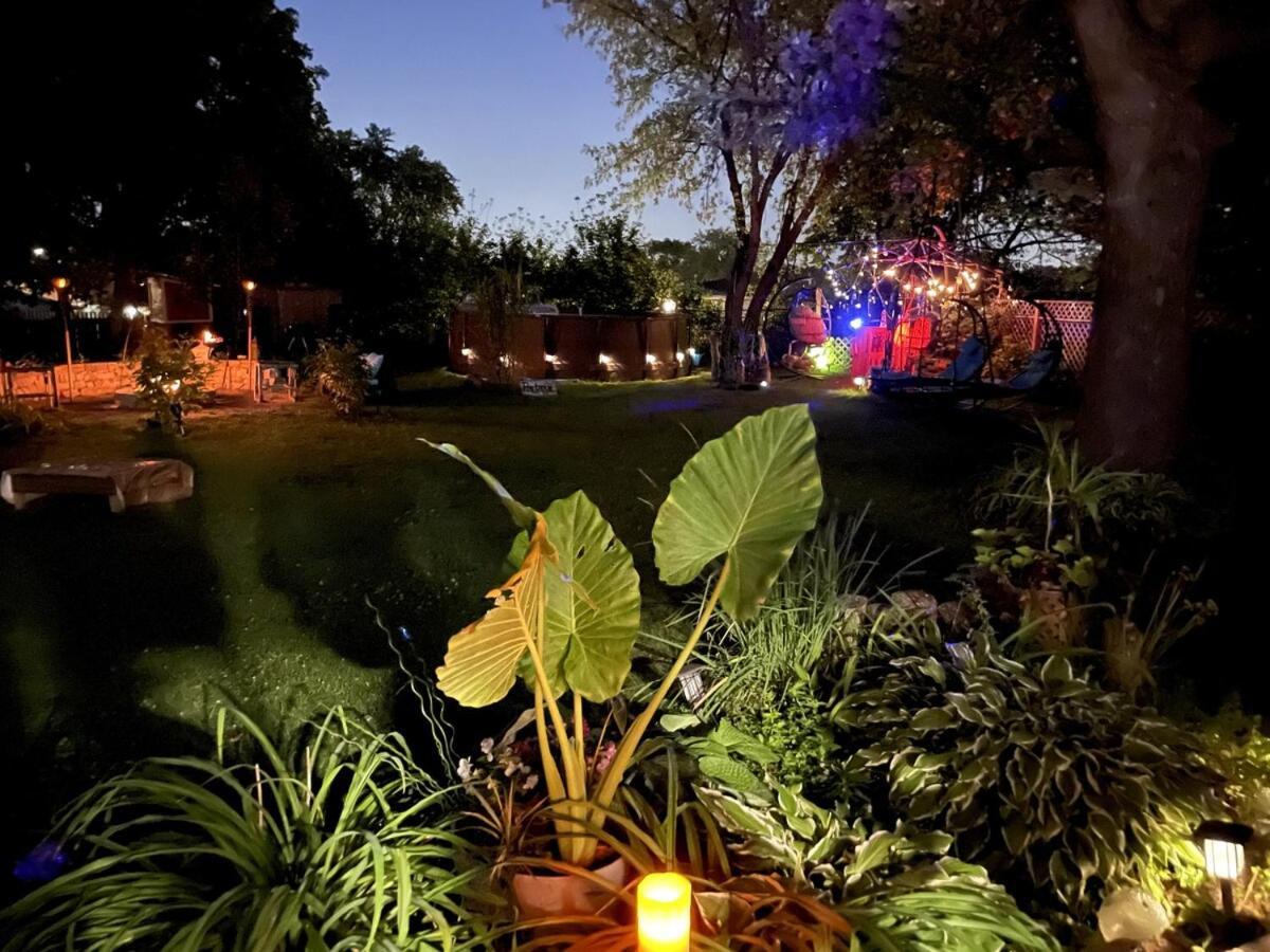 Schaumburg Paradise Oasis With A Secret Garden And Private Pool Ngoại thất bức ảnh