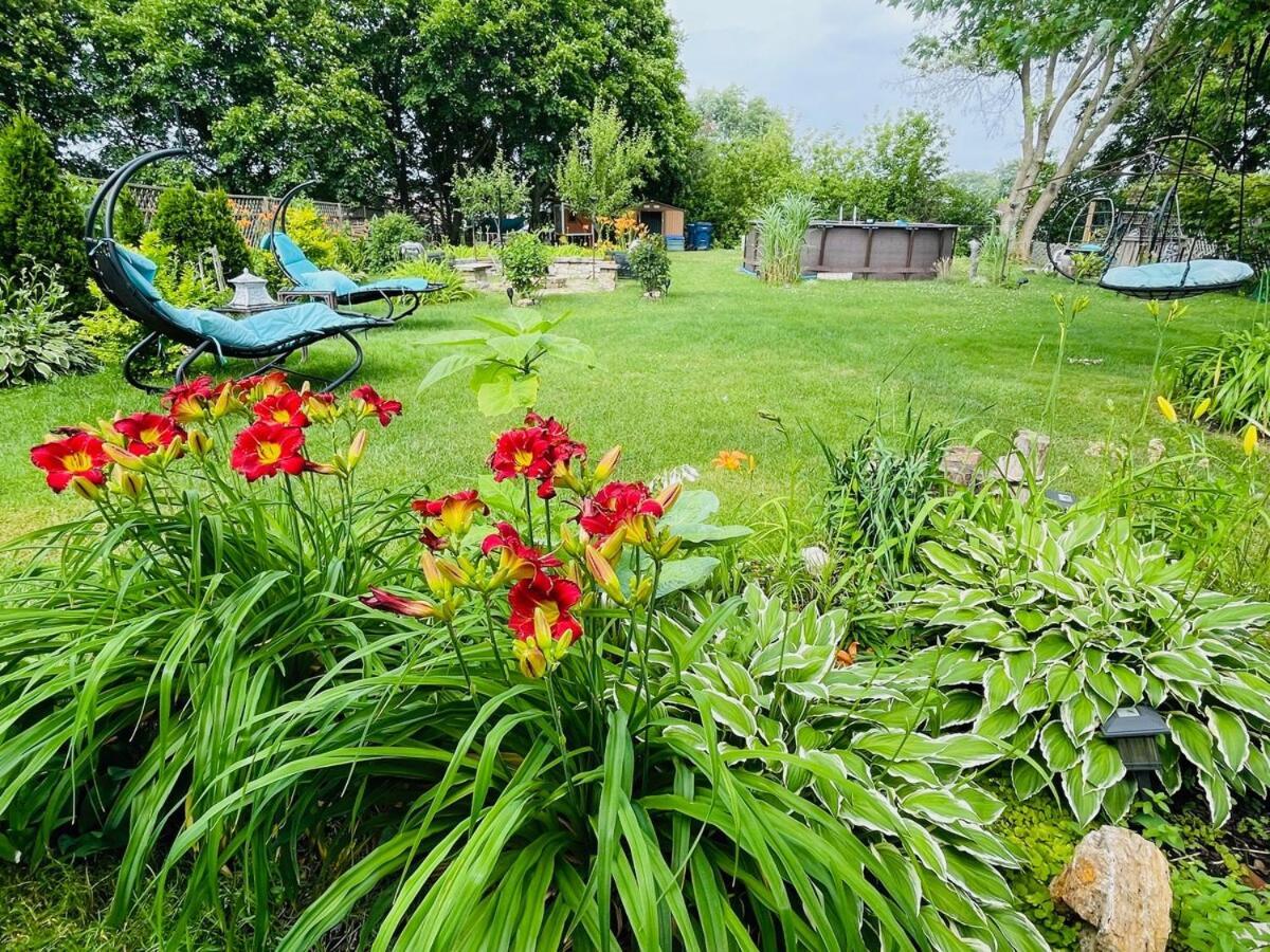 Schaumburg Paradise Oasis With A Secret Garden And Private Pool Ngoại thất bức ảnh